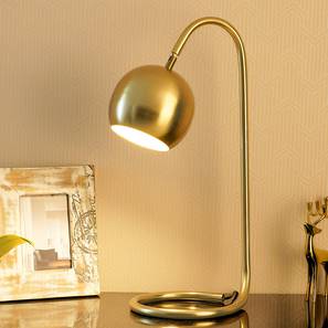 Kiley Metal Study Lamp