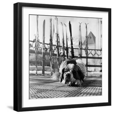 1956 Winter Olympic Game - Black Framed Art Print Wall Art, 16x16