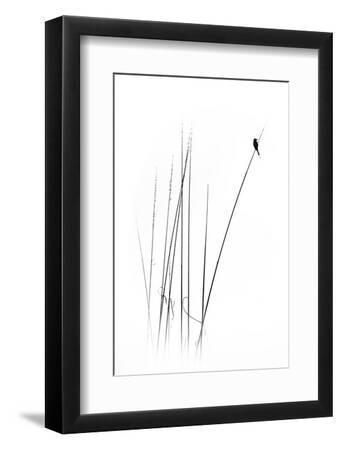 A Sabbatical - Black Framed Art Print Wall Art, 8x12