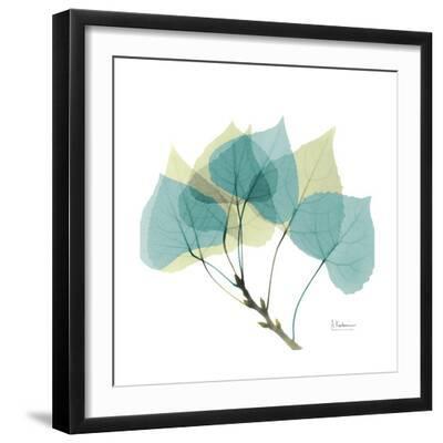 Aspen - Black Framed Art Print Wall Art, 16x16