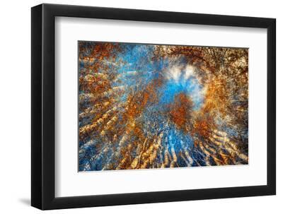 Autumn Riot - Black Framed Art Print Wall Art, 12x8