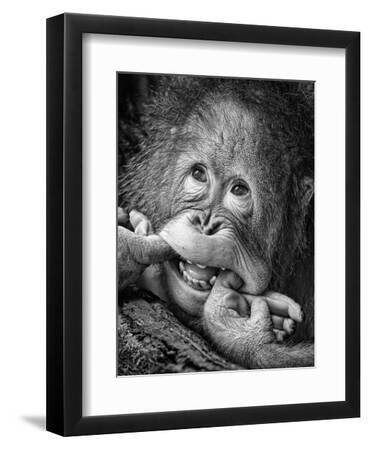 Big Smile.....Please - Black Framed Art Print Wall Art, 9x12 Big Smile.....Please - Black Framed Art Print Wall Art, 9x12