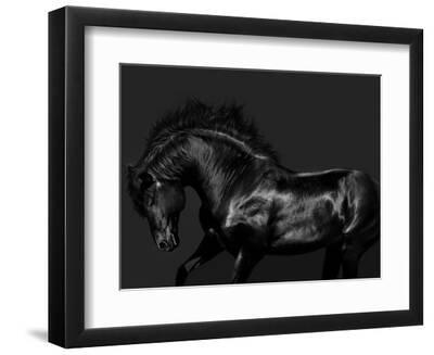 Black on Black - Black Framed Art Print Wall Art, 12x9 Black on Black - Black Framed Art Print Wall Art, 12x9