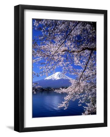 Cherry Blossoms and Mt. Fuji - Black Framed Art Print Wall Art, 12x16