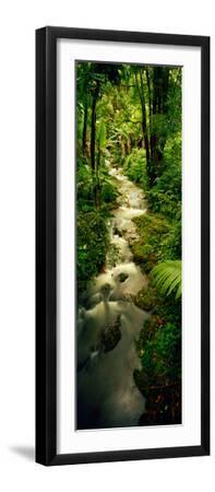 Creek Flowing Through a Rainforest, North of Hilo, Big Island, Hawaii, Usa - Black Framed Art Print Wall Art, 8x24