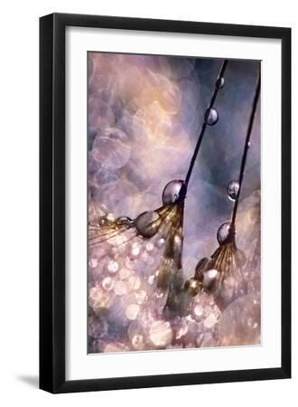 Dancing Seedlings - Black Framed Art Print Wall Art, 12x18