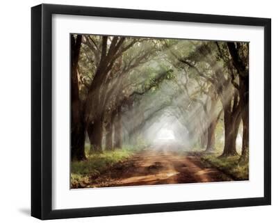 Evergreen Plantation - Black Framed Art Print Wall Art, 16x12