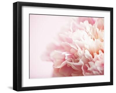 Fade to Pink - Black Framed Art Print Wall Art, 16x12