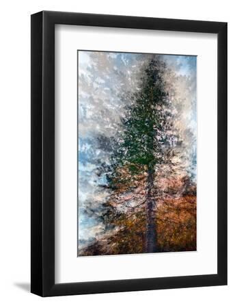 Fir - Black Framed Art Print Wall Art, 8x12