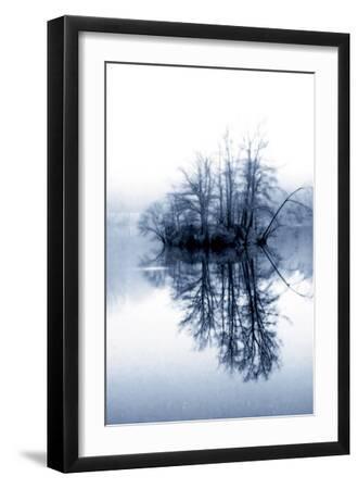 Fog on the Lake II - Black Framed Art Print Wall Art, 12x18