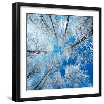 Frozen Sky - Black Framed Art Print Wall Art, 16x16