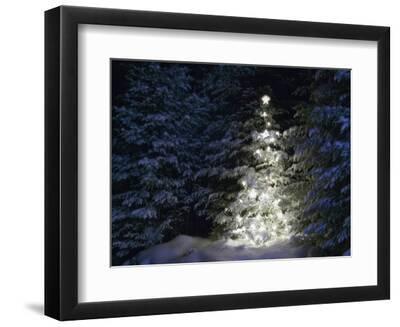 Illuminated Christmas Tree in Snow - Black Framed Art Print Wall Art, 12x9