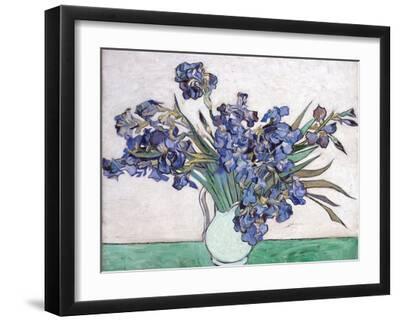 Irises - Black Framed Art Print Wall Art, 16x12