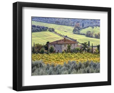 Italy, Tuscany. Vineyards and Olive Trees in Autumn by a House - Black Framed Art Print Wall Art, 12x9