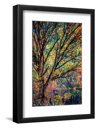 Kootenay Fall 3 - Black Framed Art Print Wall Art, 8x12