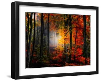 Light Colors - Black Framed Art Print Wall Art, 16x12
