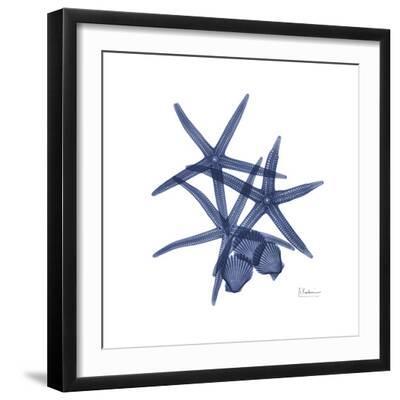 Little Scallops - Black Framed Art Print Wall Art, 16x16