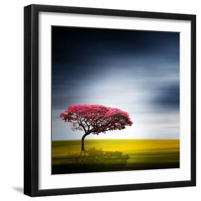 Medusa - Black Framed Art Print Wall Art, 16x16