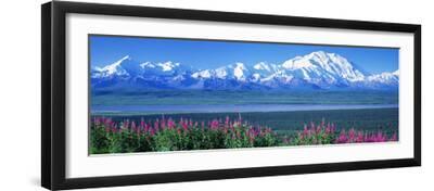 Mountains and Lake Denali National Park Ak USA - Black Framed Art Print Wall Art, 24x8