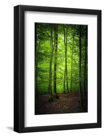 Nice Silence - Black Framed Art Print Wall Art, 8x12