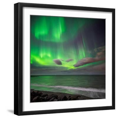Northern Lights over the Waves Breakiing on the Beach in Seltjarnarnes, Reykjavik, Iceland - Black Framed Art Print Wall Art, 16x16