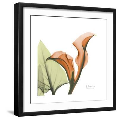 Orange Calla - Black Framed Art Print Wall Art, 16x16