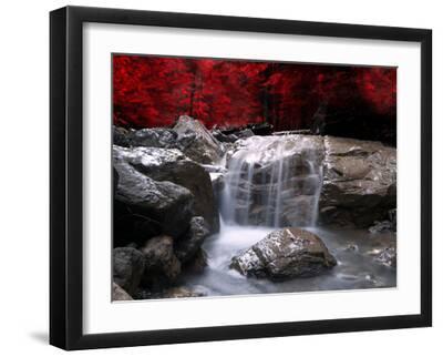 Red Vision - Black Framed Art Print Wall Art, 16x12