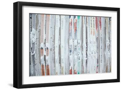Rime Covered Skis Mounted To The Wall Of Corbet's Cabin At Top Of Jackson Hole Mt Resort, Wyoming - Black Framed Art Print Wall Art, 18x12
