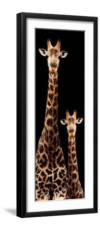 Safari Profile Collection - Giraffe and Baby Black Edition III - Black Framed Art Print Wall Art, 8x24