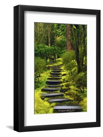 Spring on the Steps, Portland Japanese Garden, Portland, Oregon, USA - Black Framed Art Print Wall Art, 8x12