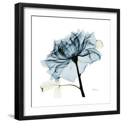 Teal Rose - Black Framed Art Print Wall Art, 16x16 Teal Rose - Black Framed Art Print Wall Art, 16x16