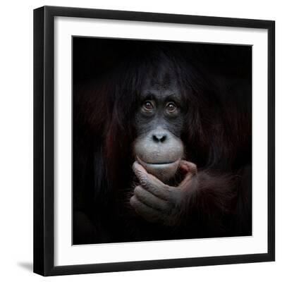 The Mirror Image - Black Framed Art Print Wall Art, 16x16 The Mirror Image - Black Framed Art Print Wall Art, 16x16