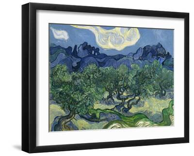 The Olive Trees, 1889 - Black Framed Art Print Wall Art, 16x12