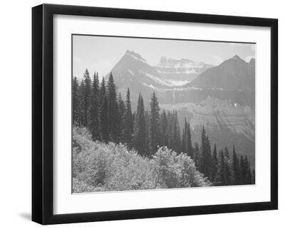 Trees And Bushes In Foreground Mountains In Bkgd "In Glacier National Park" Montana. 1933-1942 - Black Framed Art Print Wall Art, 16x12
