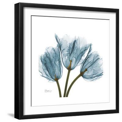 Tulips Blue - Black Framed Art Print Wall Art, 16x16 Tulips Blue - Black Framed Art Print Wall Art, 16x16