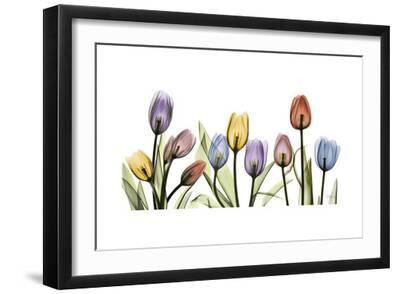 Tulipscape Portrait - Black Framed Art Print Wall Art, 18x12