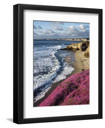 USA, California, La Jolla, Flowers Along the Pacific Coast - Black Framed Art Print Wall Art, 9x12