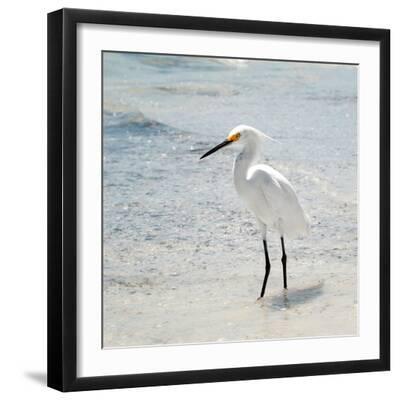 White Heron - Florida - Black Framed Art Print Wall Art, 16x16