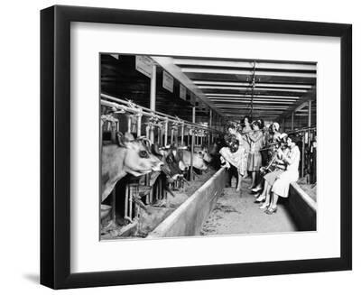 Wisconsin: Dairy Farm - Black Framed Art Print Wall Art, 12x9